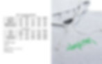 Thumbnail: SCRIPT HOOD (ASH)