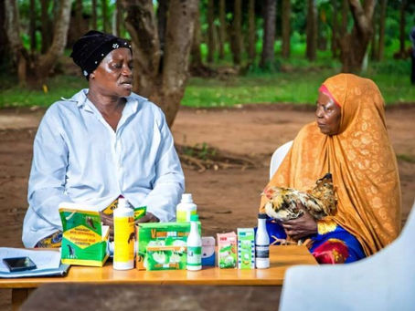 Study reveals major inequalities in global One Health research