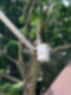 IMG_2418.jpeg