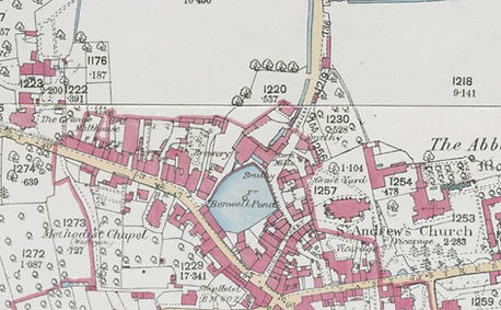 1885 map showing the millpond and mills.jpg
