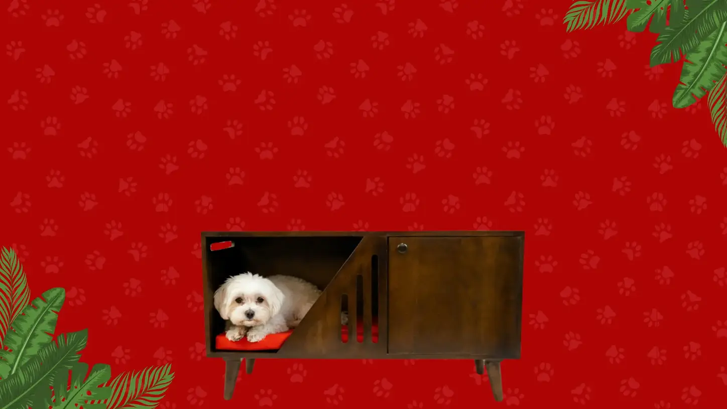 FurryLiving India's first premium pet store furniture with an image of a pet feeder and Benji Cabinet