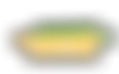 Freie Nacht für's Klima 2026