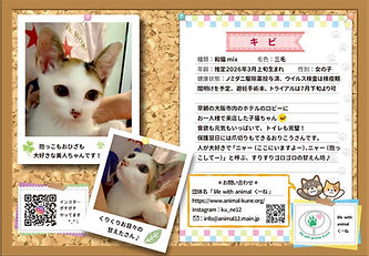 インスタ用ーキビ.jpg