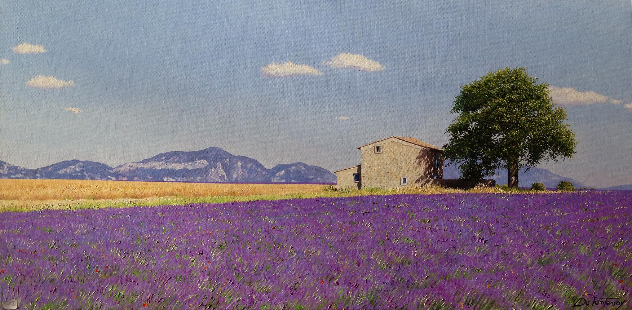 panorama