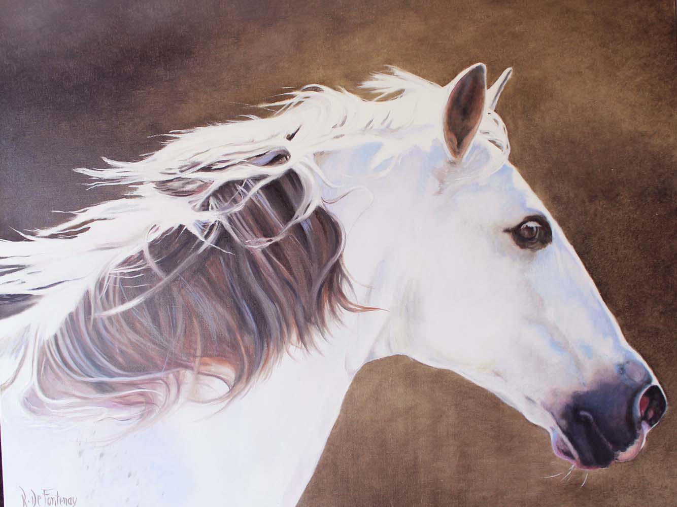LULU au galop.