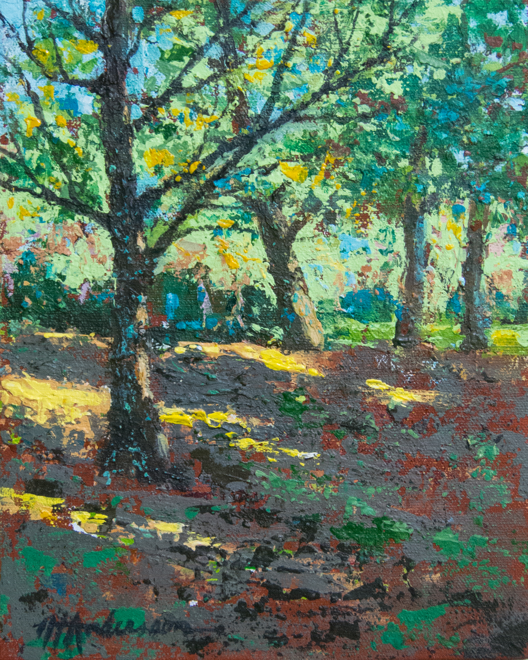 In the Shade