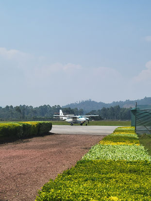 Entebbe to Bwindi Drive Fly or Combine Both Best Route Comparison