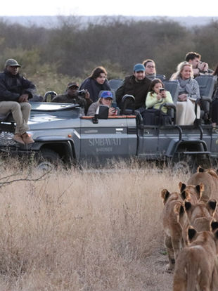 Explore Santaviva's Exclusive Safari Adventures in East Africa and Southern Africa Parks