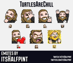 TurtlesAreChill | Twitch Emotes | Cute | Custom | Commissions | itsHalfpint