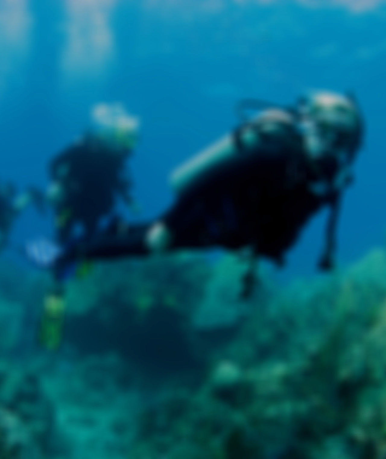 Divers under water exploring