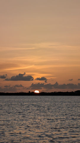 The experience of diving at Paradise Divers in Utila