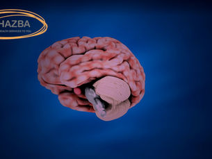 Brain Health and Alzheimer's Awareness: What You Need to Know