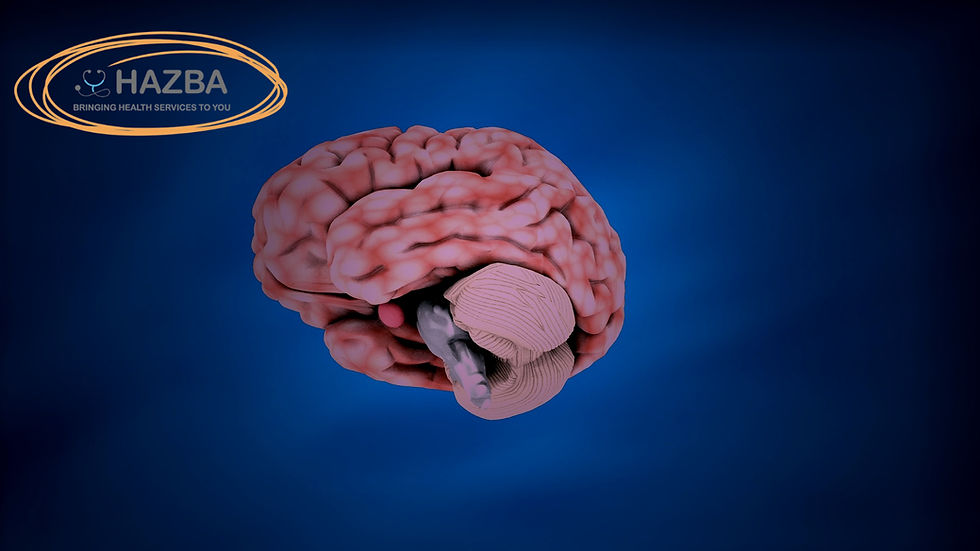 Brain Health and Alzheimer's Awareness: What You Need to Know