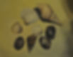 Shells