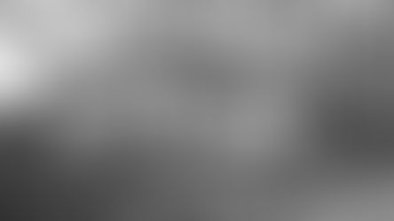 Moara Vlăsiei - relicva unui experiment