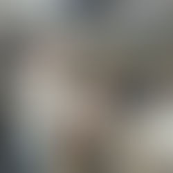 The Williams School Partners with Ghent Area Ministry