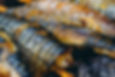 Grilled fish at Iskelem restaurant