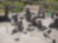 Dalyan mud baths