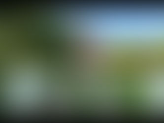 Why Smart Performers Are Choosing Rural Workshops Over Drama Schools