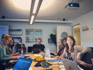Varieties of Peace workshop 26-27 November, 2018 in Umeå