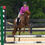 Thumbnail: Show Horse Training