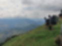 IMG_20220118_130901.jpg
