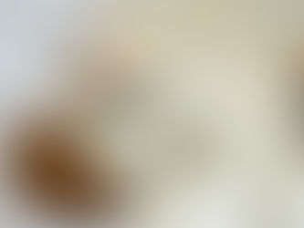 How to Pivot Your Wellness Plan During the High-Stress Season