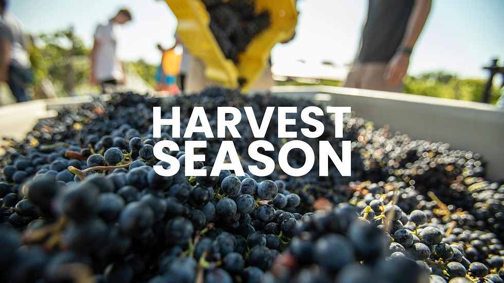 Harvest Season Begins!