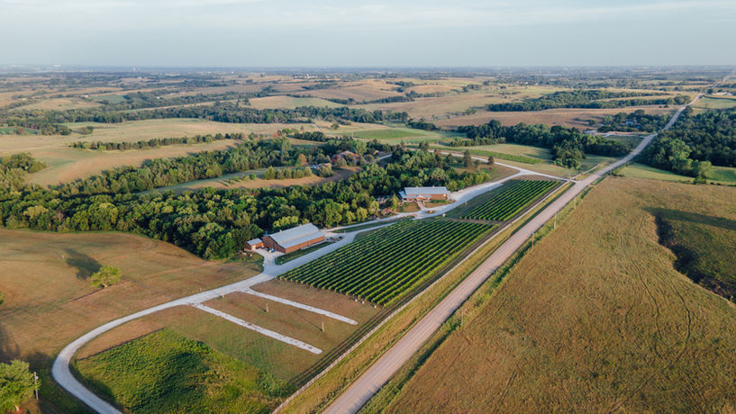 Lincoln, Nebraska vineyard