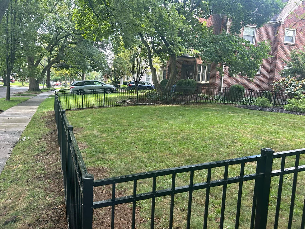 4'H aluminum fence