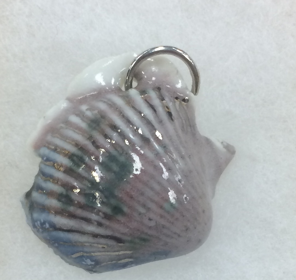 sea shell