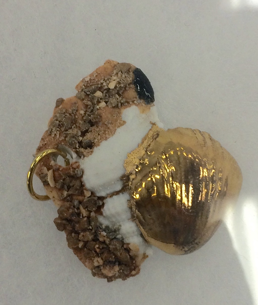 gold shell