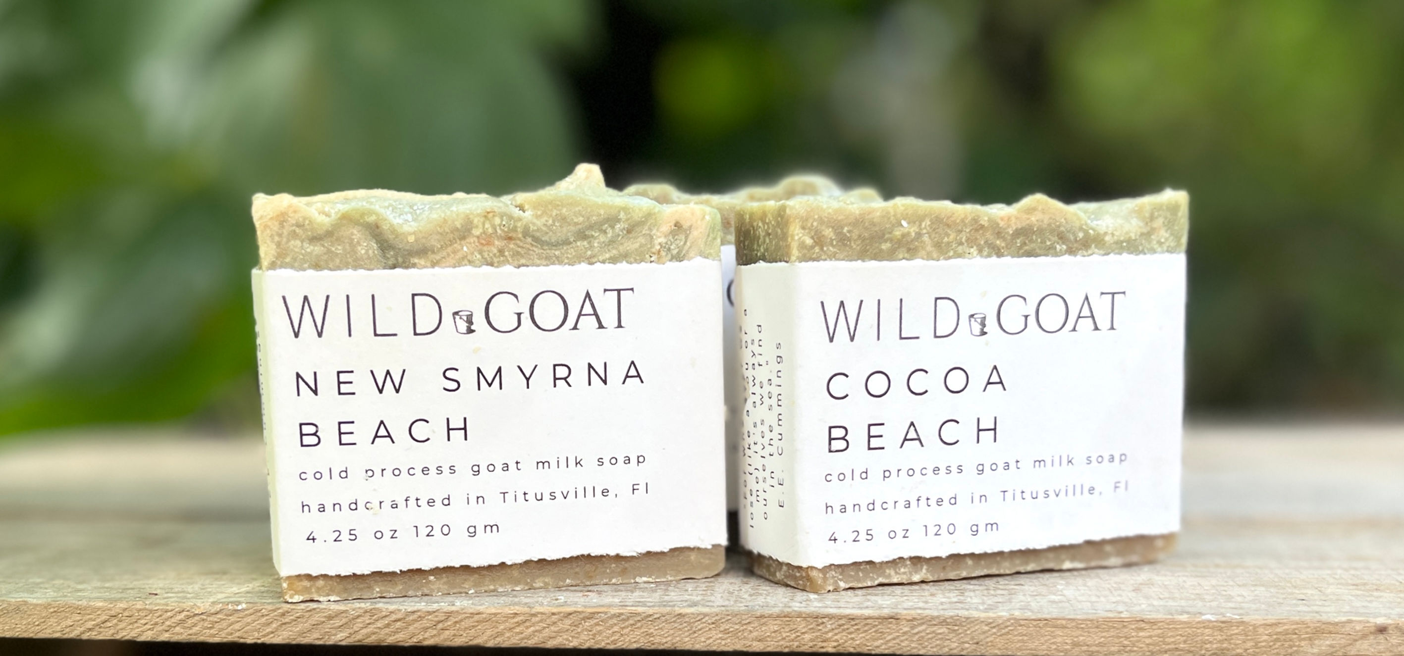 Playalinda Cocoa Beach New Smyrna Beach Daytona Beach