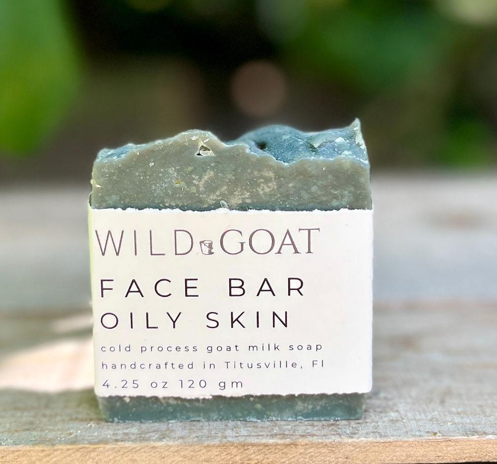 Charcoal and Rose Hip Face Bar for Oily Skin