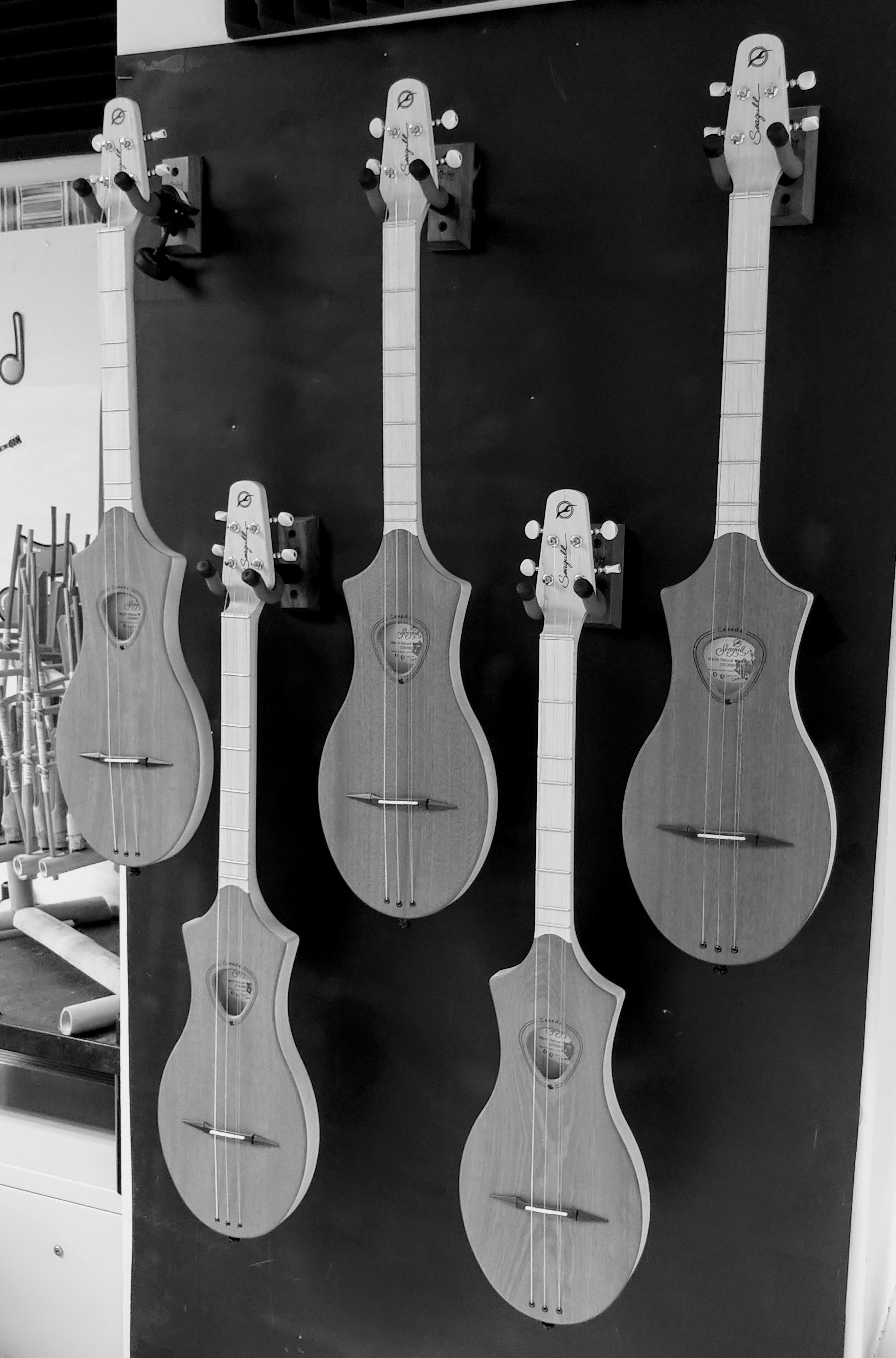 Seagull Merlins (Diatonic string instruments that are similar to dulcimers)