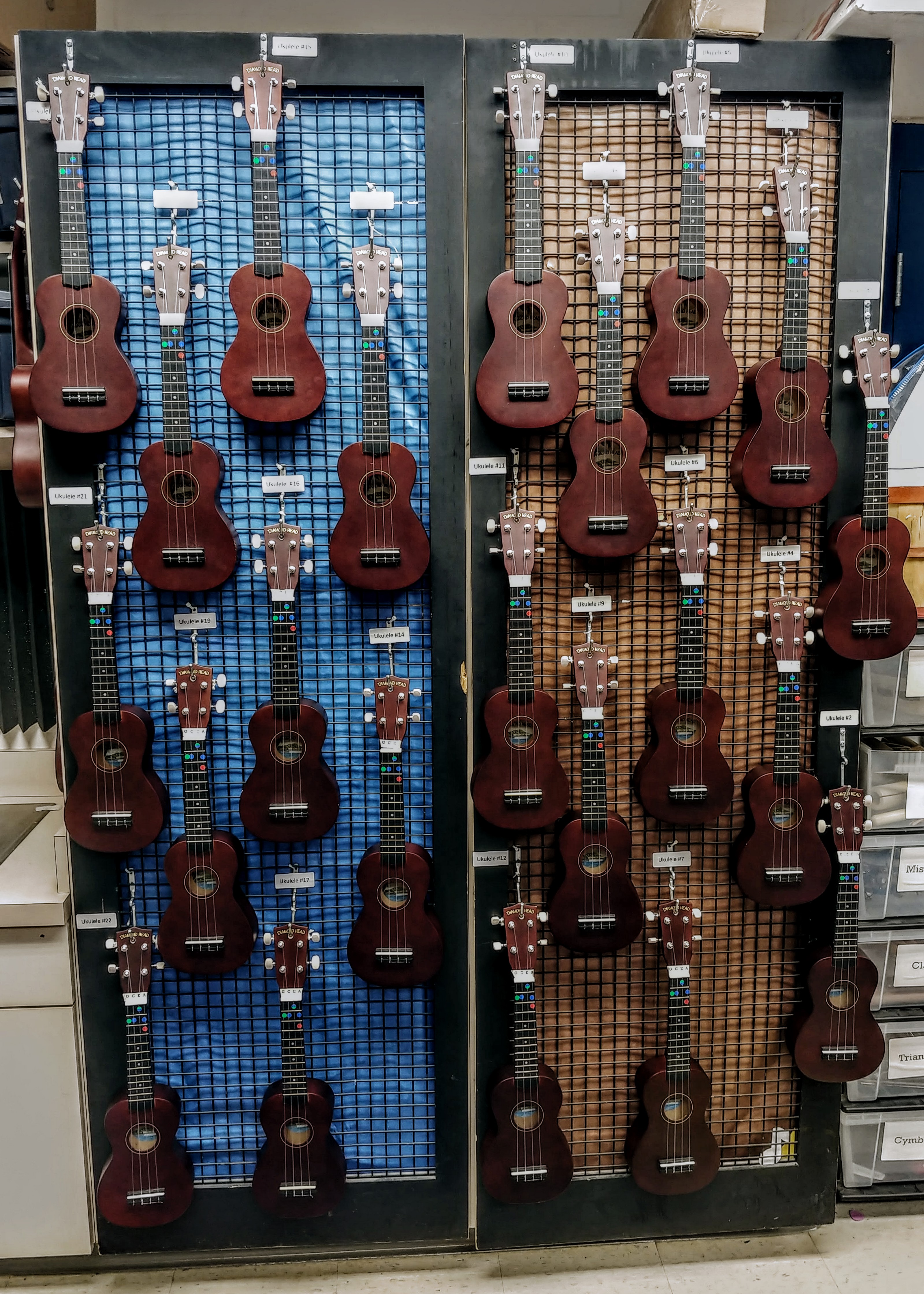 Class Set of Soprano Ukuleles