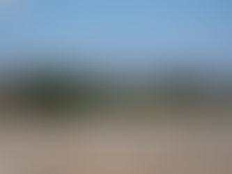 When the Tail Wags the Dog