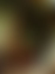 Jane Goodall: An Earth Day SpeciaL