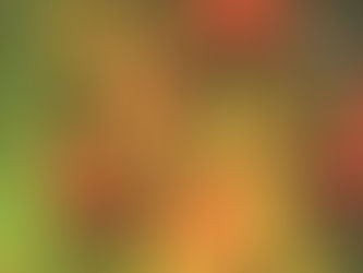 美術雑誌 掲載記事