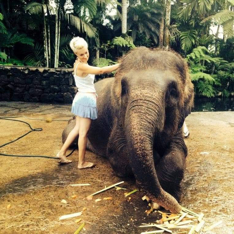 elephant pic1.jpg