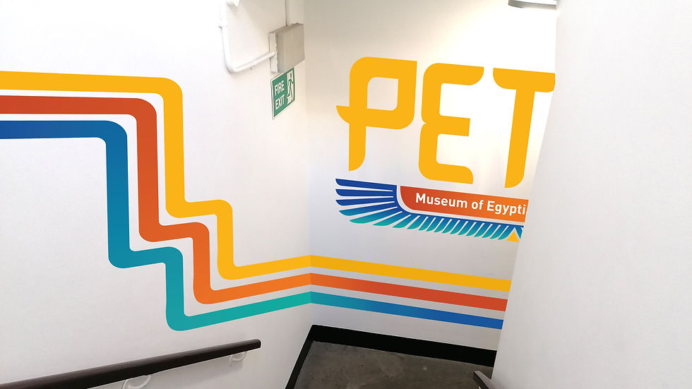 Petrie Museum Branding