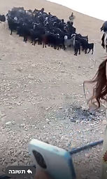 _צילום מסך 2025-10-07 בשעה _18_.57_.03_.jpeg