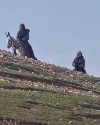 _צילום מסך 2025-10-07 בשעה _18_.57_.03_.jpeg