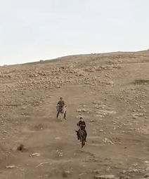 _צילום מסך 2025-10-07 בשעה _18_.57_.03_.jpeg