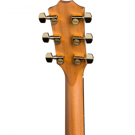 Küçük resim: Taylor 214CE-SG LTD Elektro Akustik Gitar (Natural)