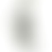 タツノオトシゴアクセサリー♪