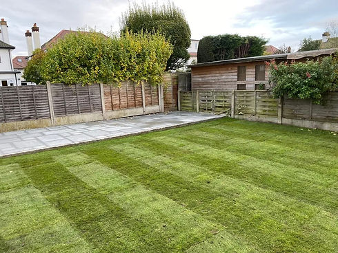 A neatly manicured lawn with striped patterns is bordered by a wooden fence and green shrubs