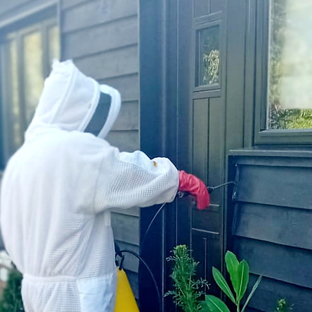 A person in a beekeeping suit and red gloves sprays pesticide near a house's dark wood door, focusing on pest control.