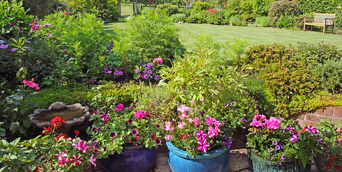 A vibrant garden with colorful flowers in pots, including pink, red, and purple blooms