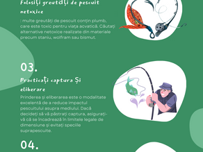 5 sfaturi pentru folosirea obiectelor de pescuit și a momelilor ecologice